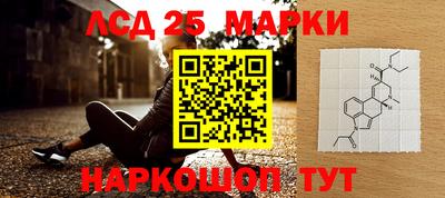 спиды Будённовск